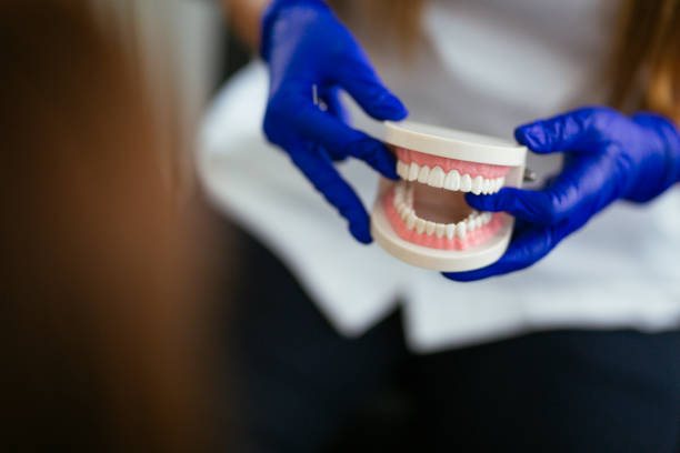 Why Choose Us for Your Dental Needs in Westminster, MD